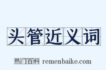 头管近义词是什么意思的图片